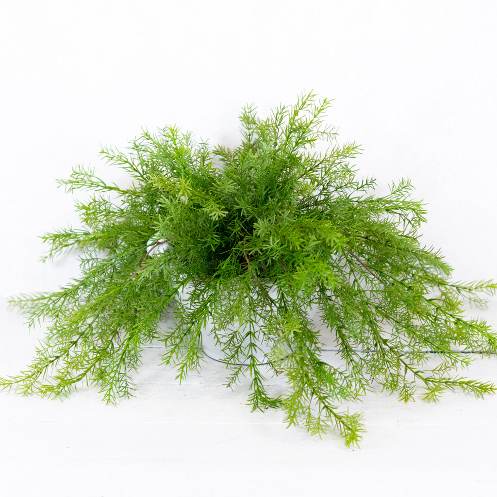 Double Asparagus Drop In