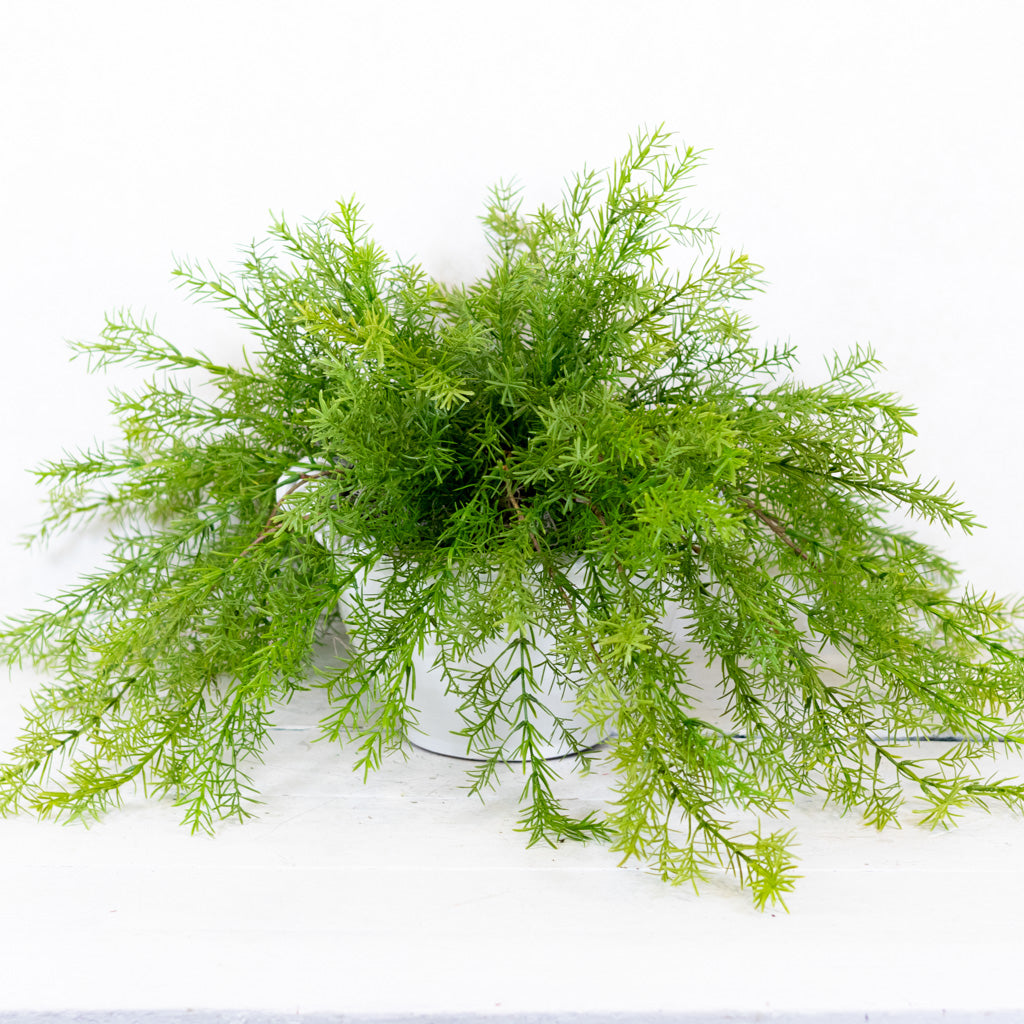 Double Asparagus Drop In