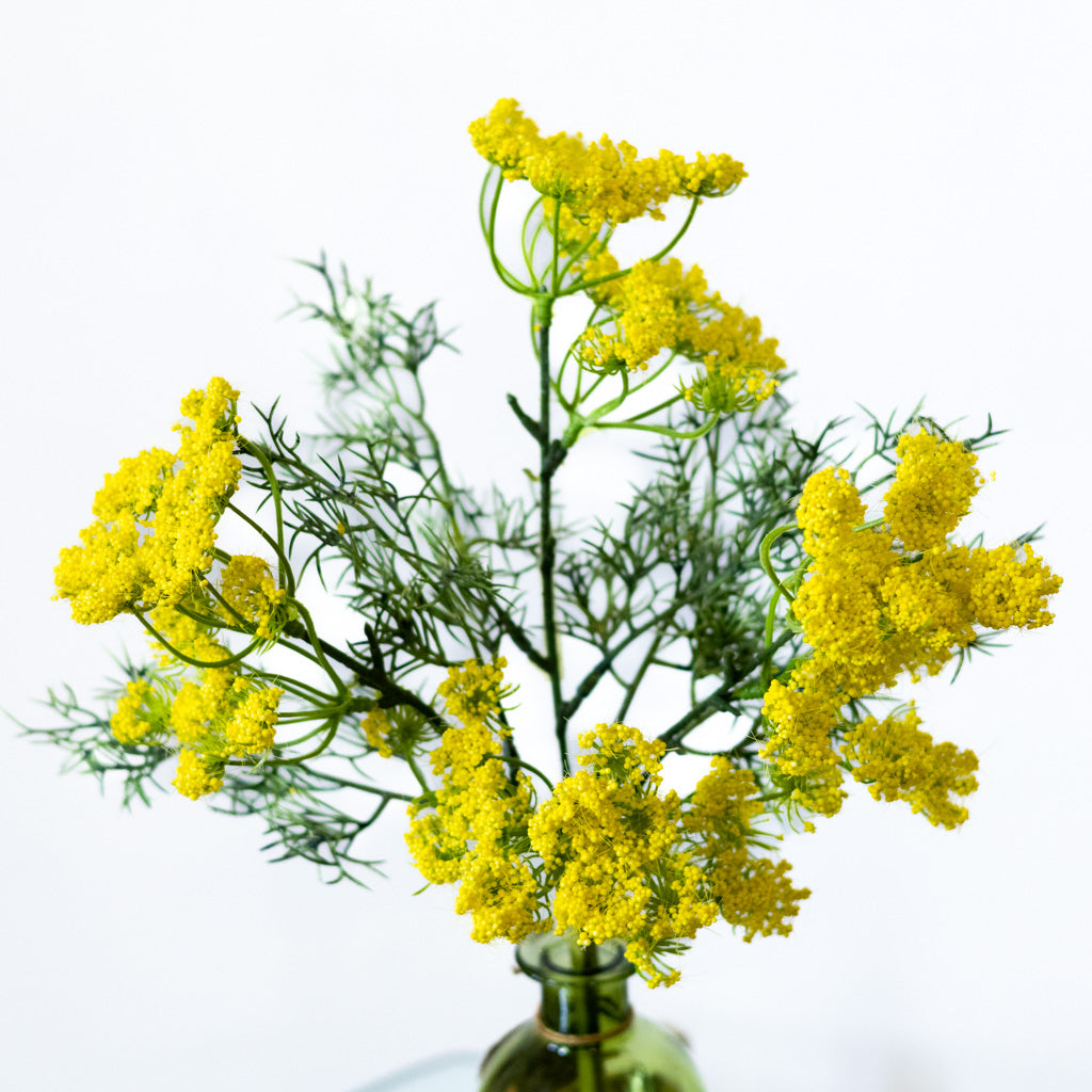 Yellow Queen Anne's Lace Spray
