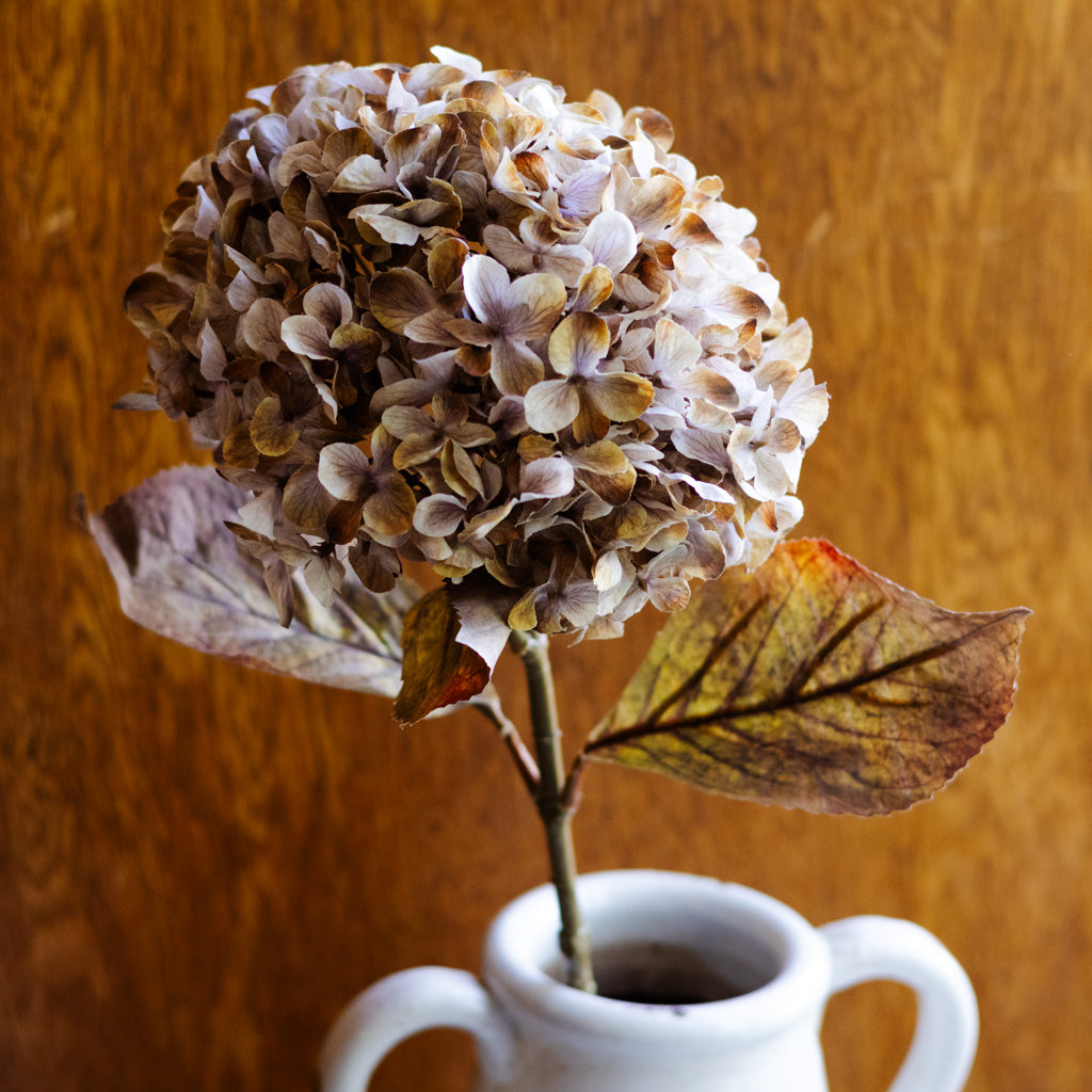 Brown Cream Hydrangea Spray