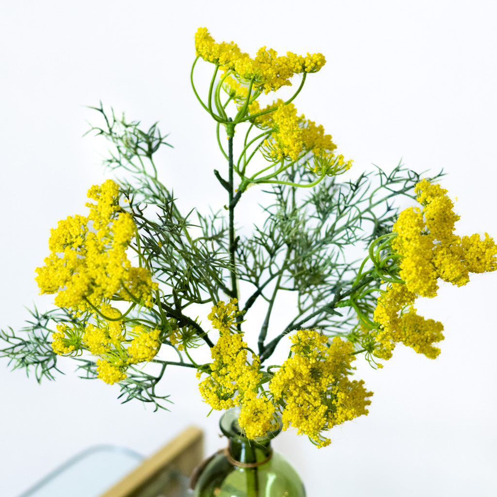 Yellow Queen Anne's Lace Spray