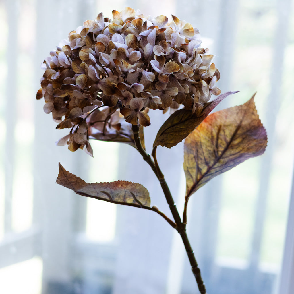 Brown Cream Hydrangea Spray