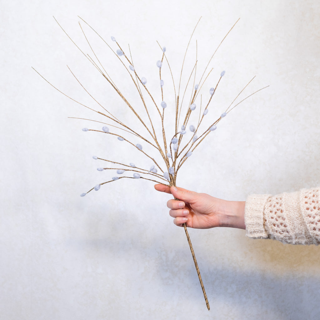Pussy Willow Stem Natural