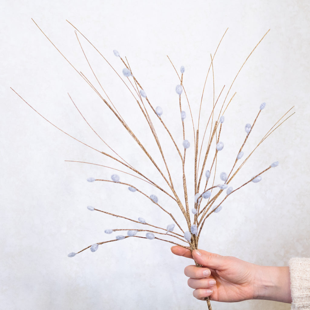Pussy Willow Stem Natural