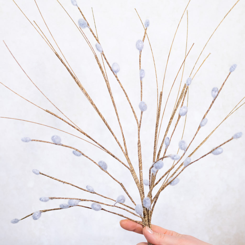 Pussy Willow Stem Natural