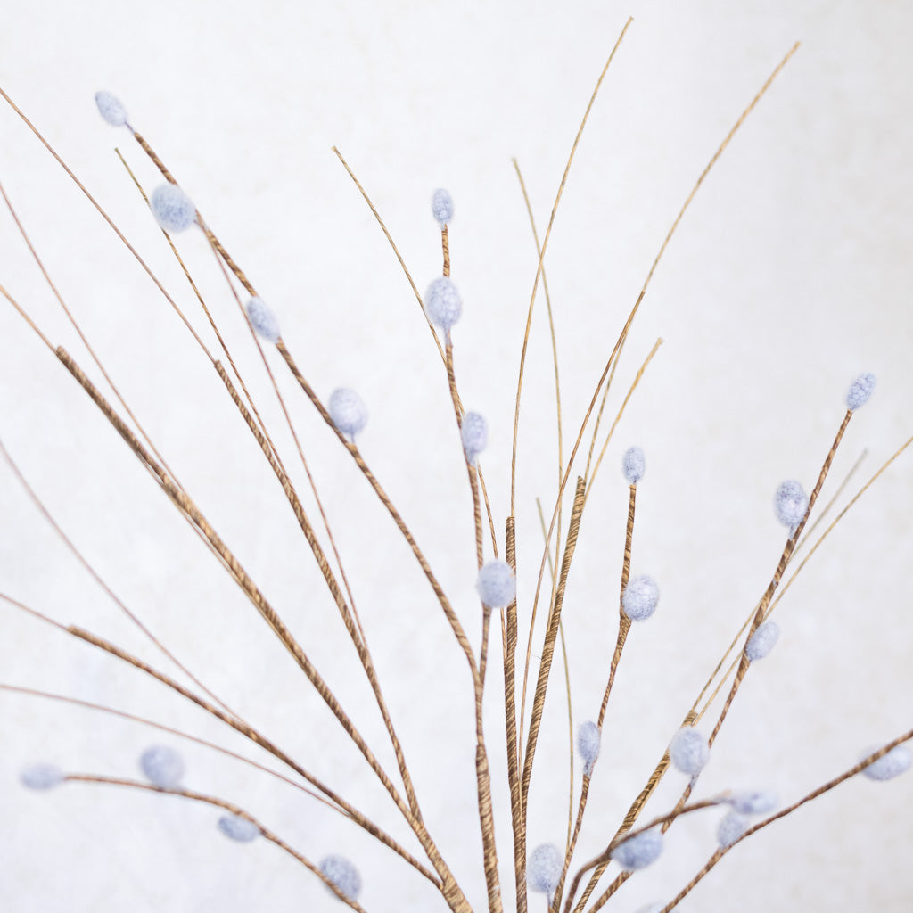 Pussy Willow Stem Natural