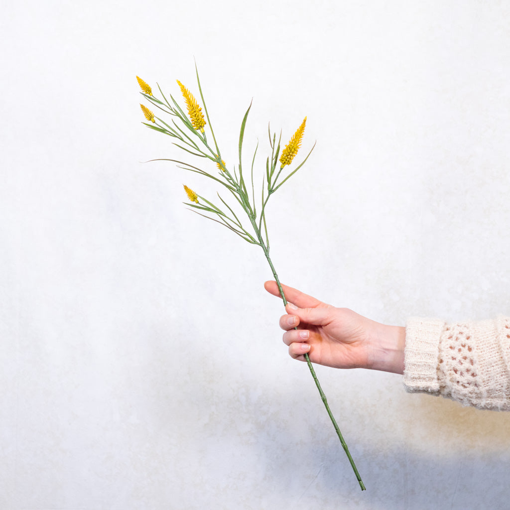 Yellow Narrowleaf Clover Spray