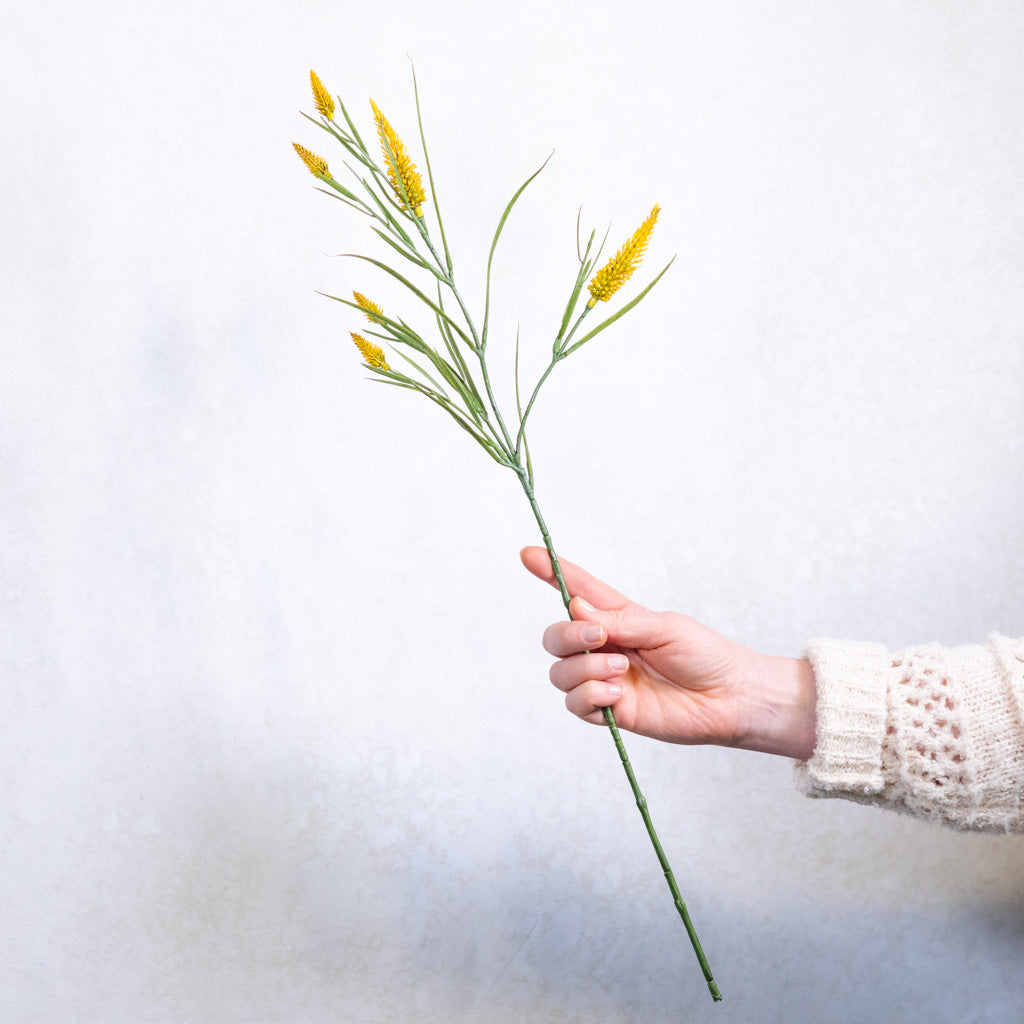 Yellow Narrowleaf Clover Spray