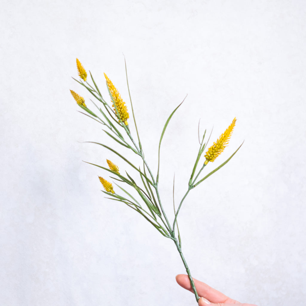 Yellow Narrowleaf Clover Spray