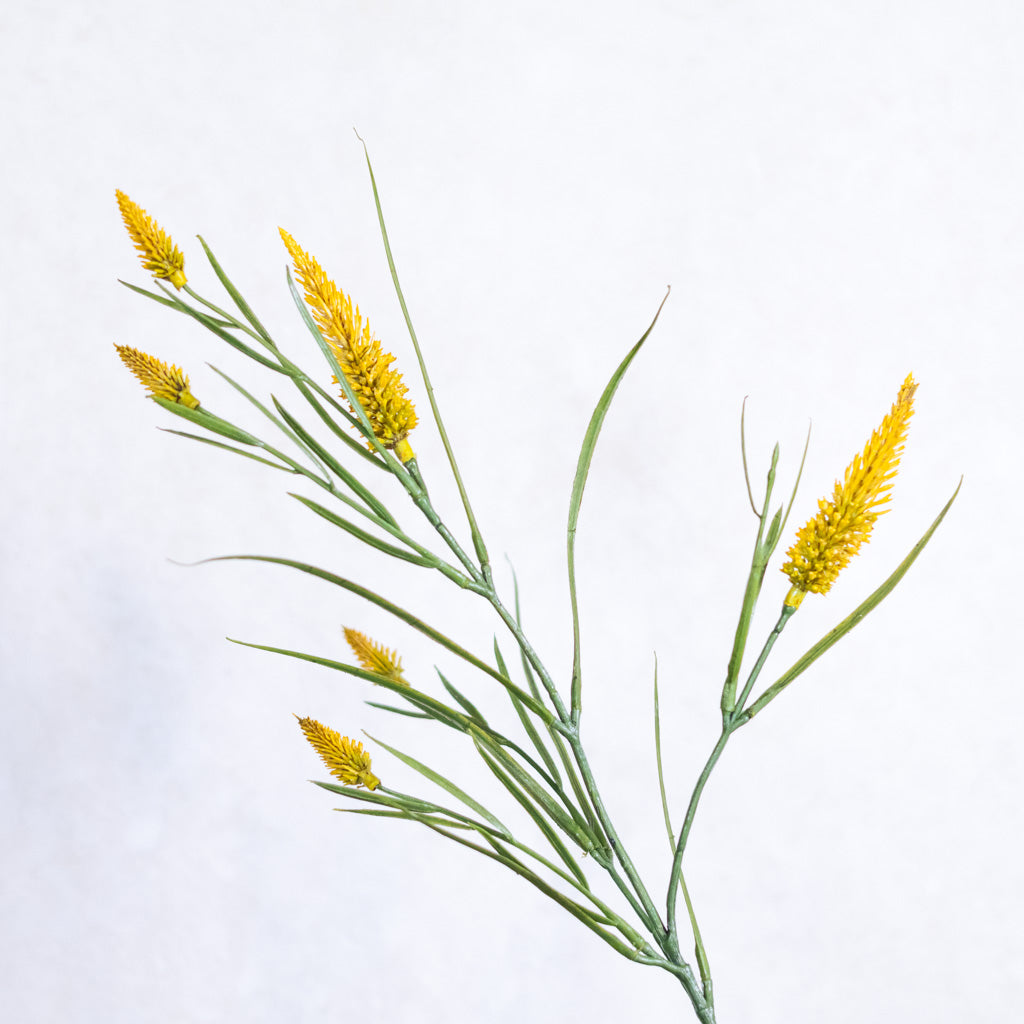 Yellow Narrowleaf Clover Spray