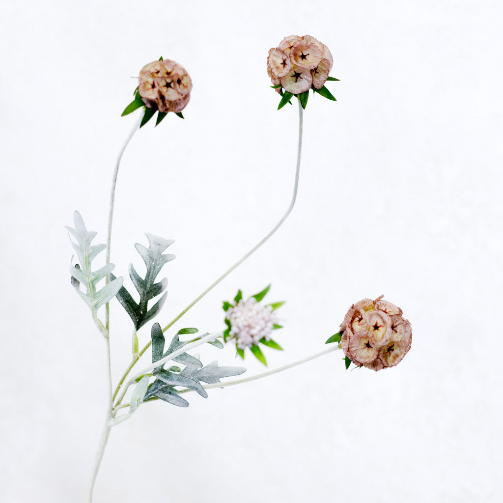 Pink Scabiosa Pod Spray