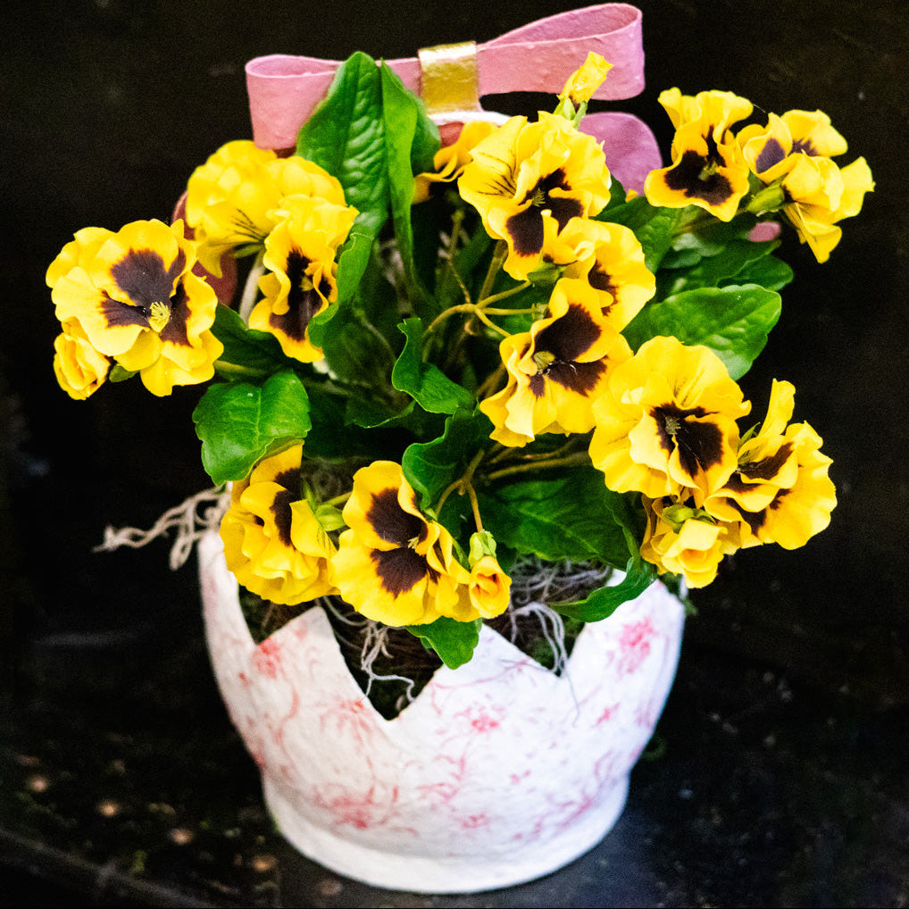 Yellow Pansy Drop In