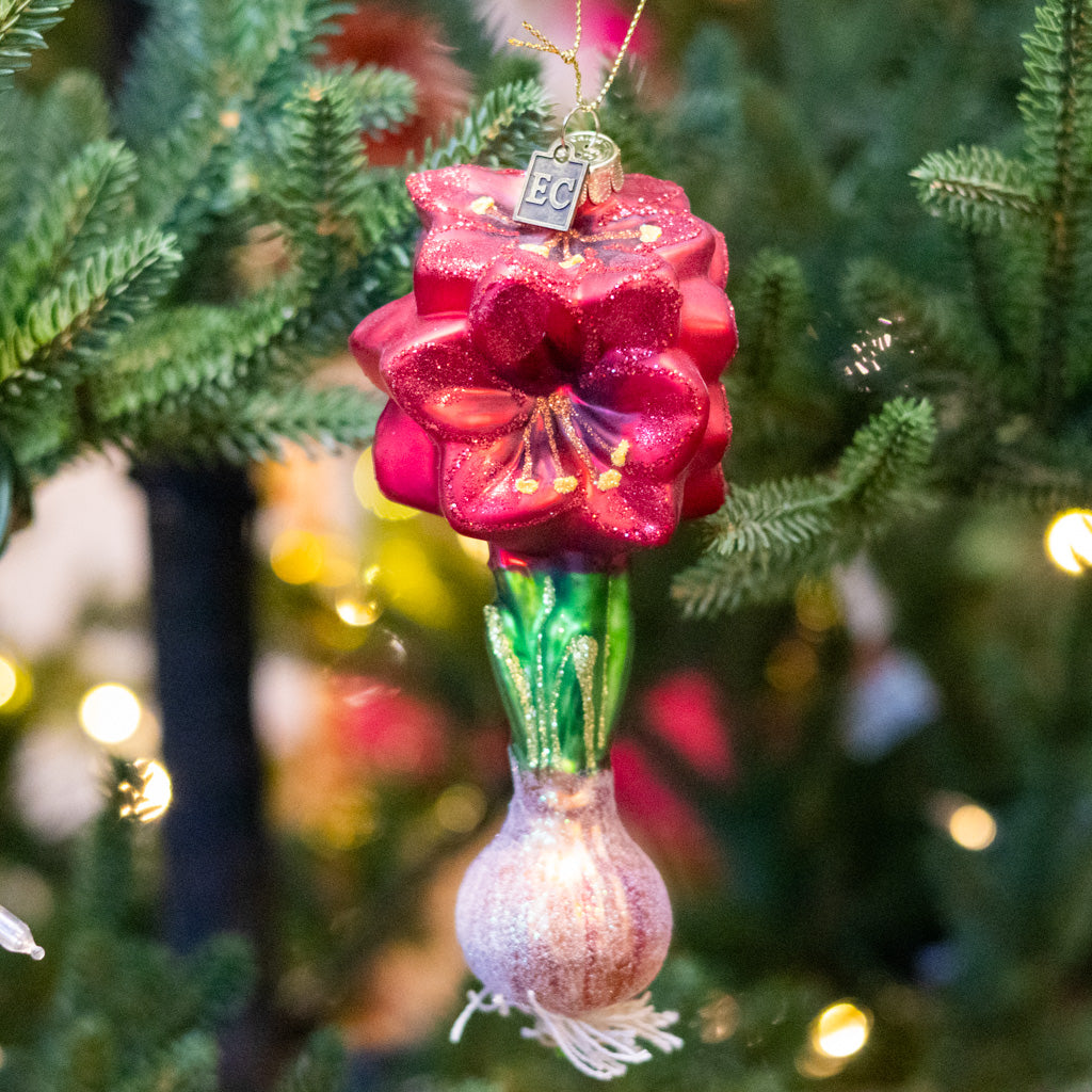 Glass Red Amaryllis Bulb Ornament