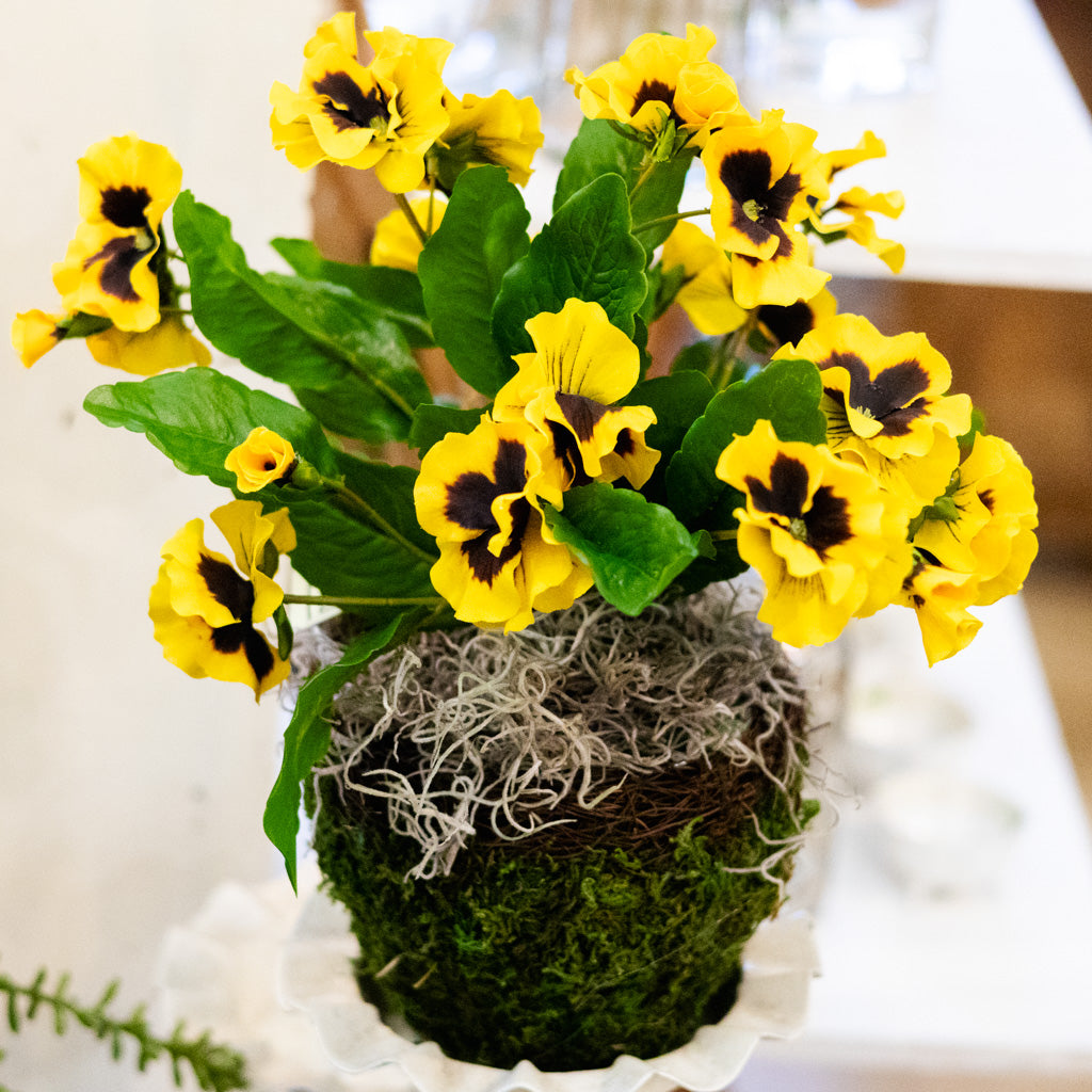 Yellow Pansy Drop In