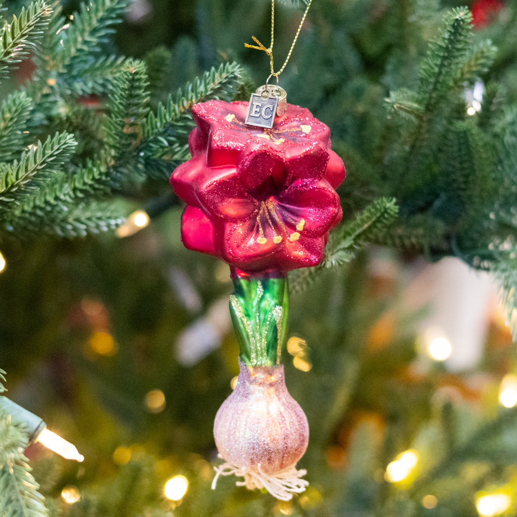Glass Red Amaryllis Bulb Ornament