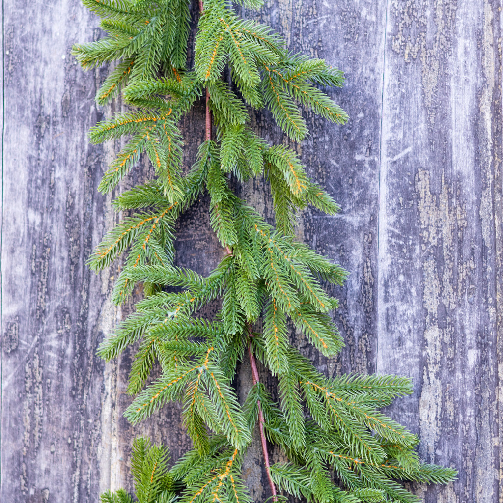 Fraser Fir Garland 5.75 Ft.