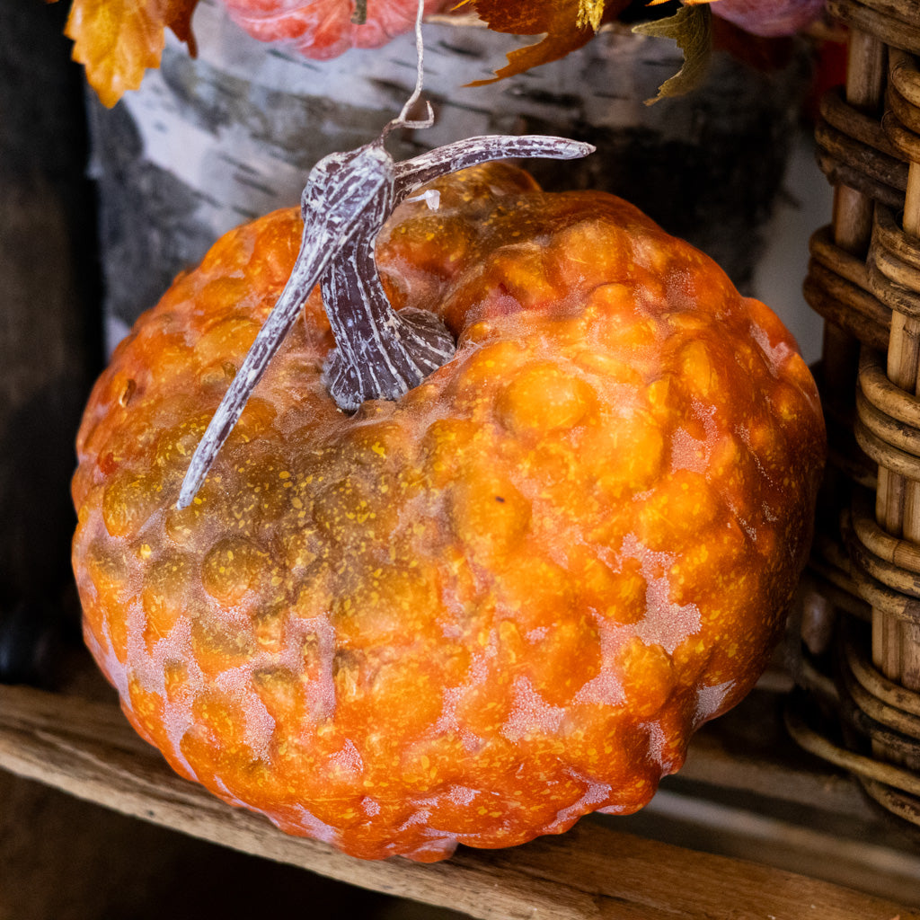 Hybrid Orange Pumpkin