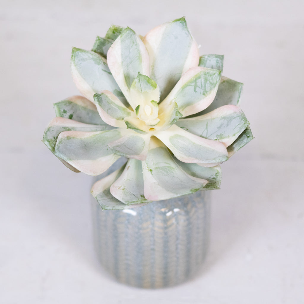 Spoon Succulent Pick