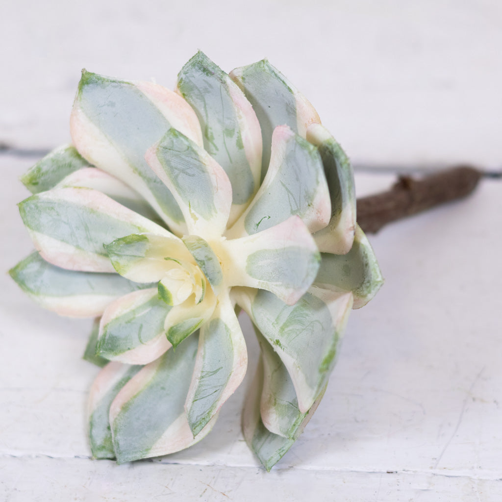 Spoon Succulent Pick