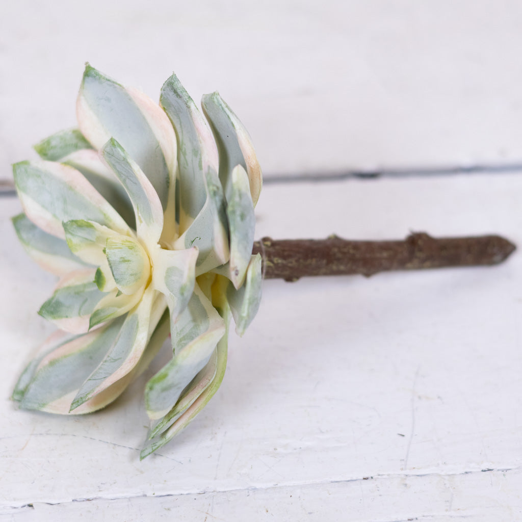 Spoon Succulent Pick