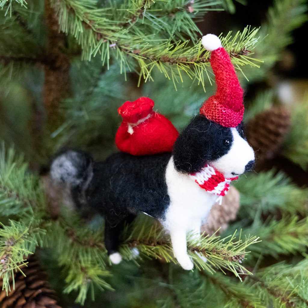 Black & White Dog with Red Hat and Knapsack