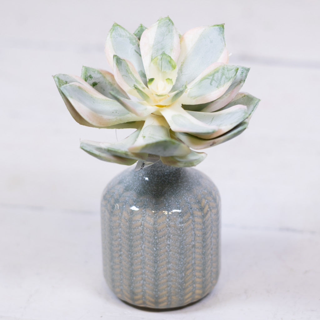 Spoon Succulent Pick