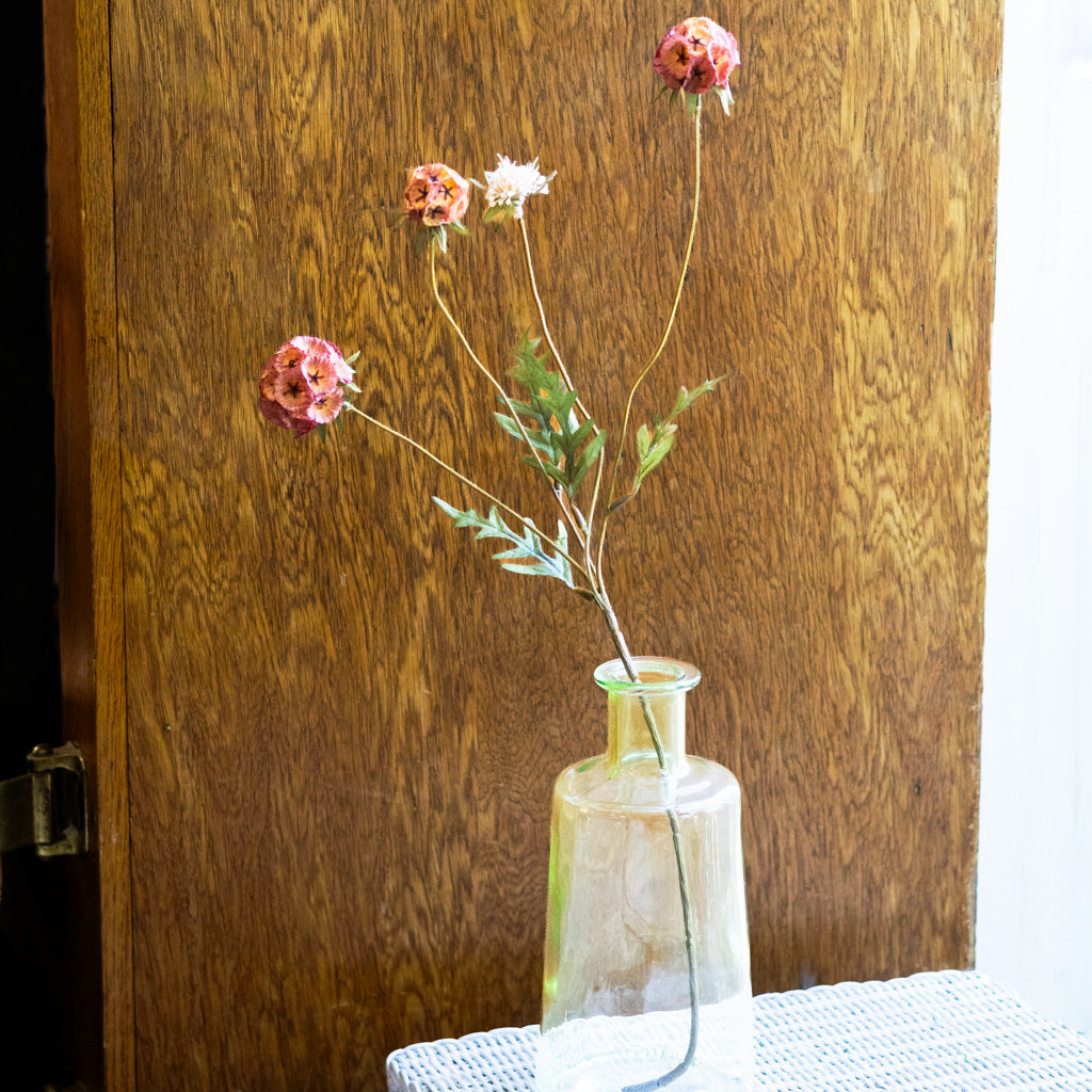 Autumn Cinnamon Spice Scabiosa Spray