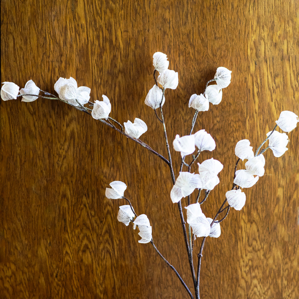 Autumnal Chinese Cream Brown Lantern Spray