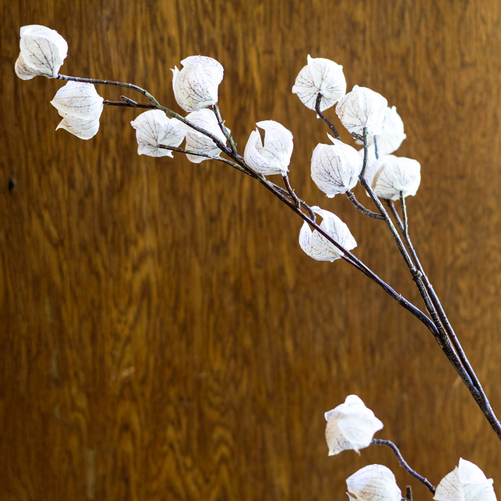 Autumnal Chinese Cream Brown Lantern Spray