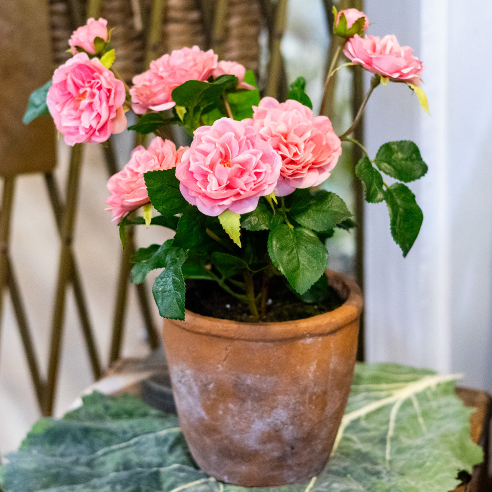 UV Pink Rose in Clay Pot Natural Touch