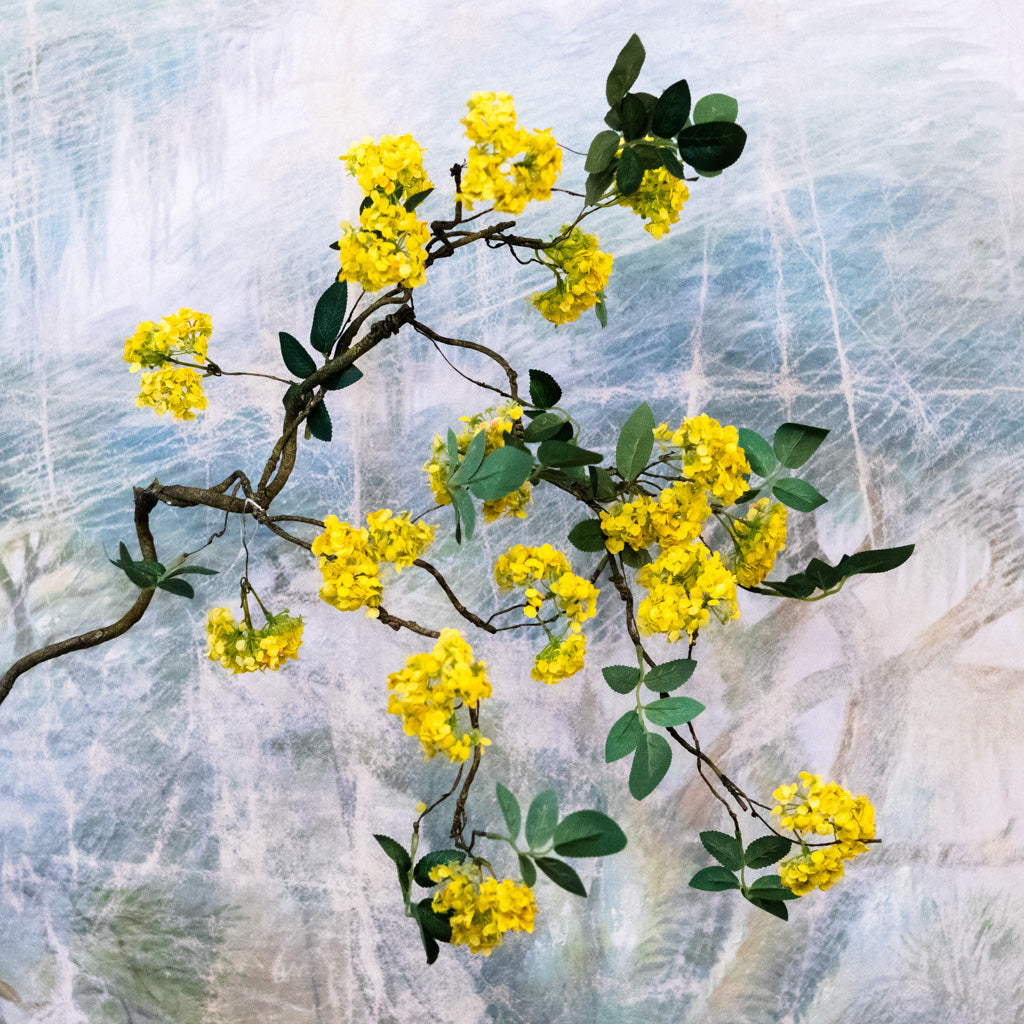 Yellow Blossom Branch