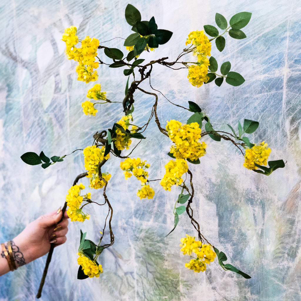 Yellow Blossom Branch