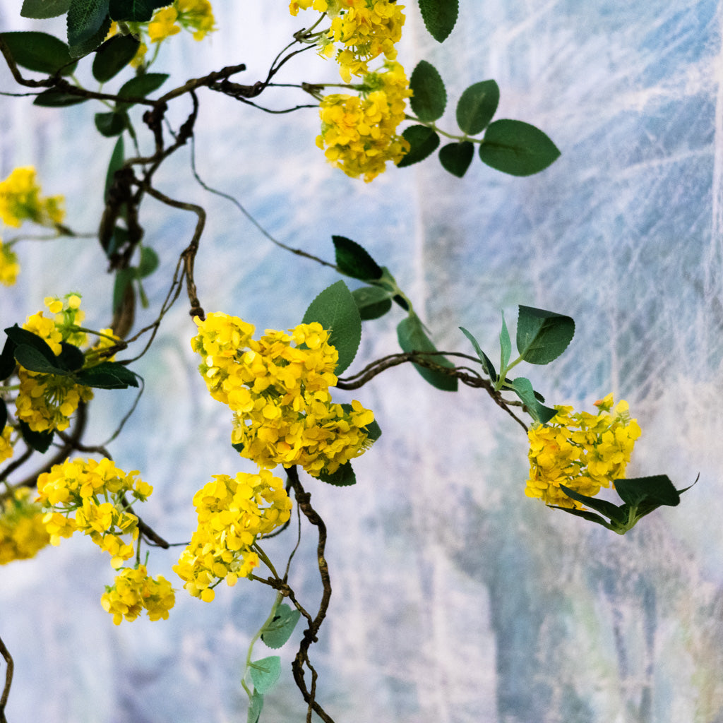 Yellow Blossom Branch