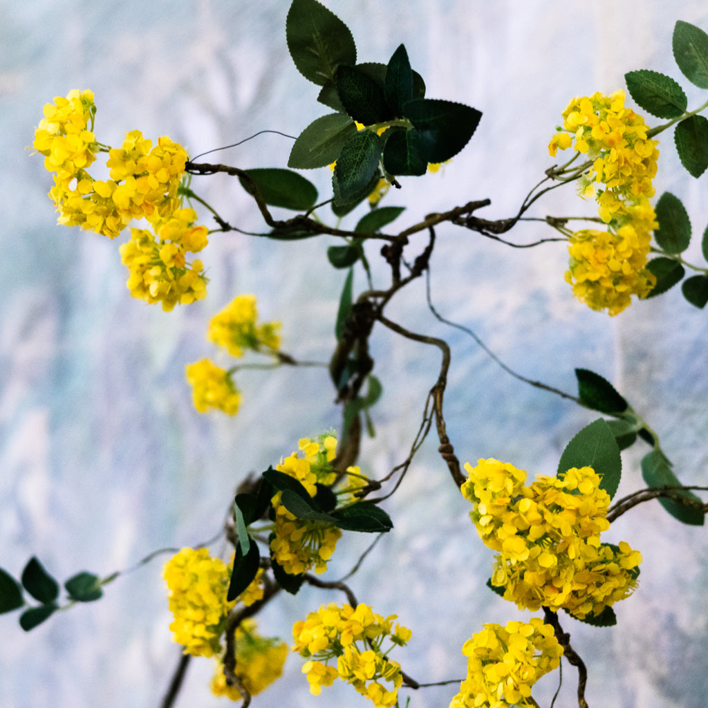 Yellow Blossom Branch