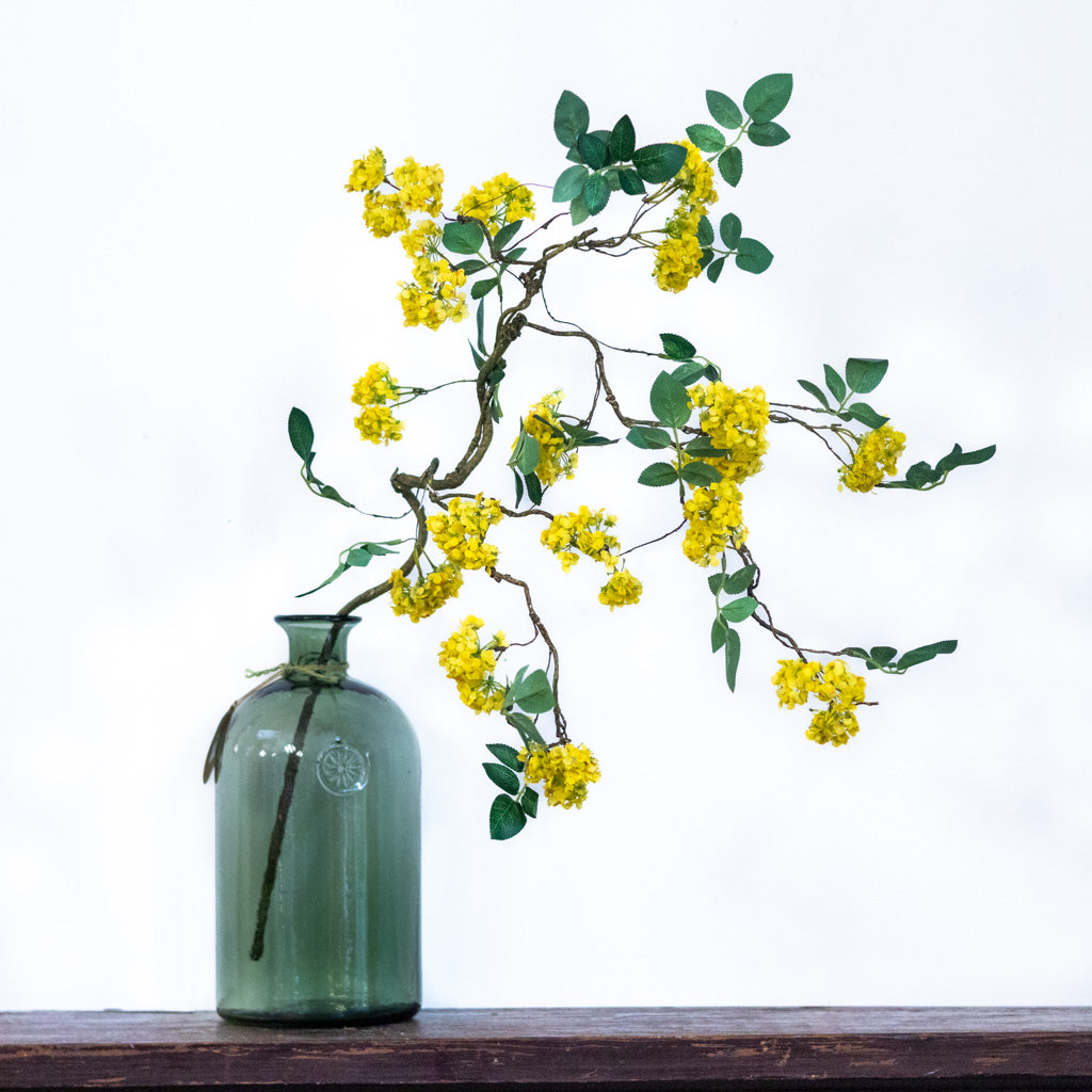 Yellow Blossom Branch