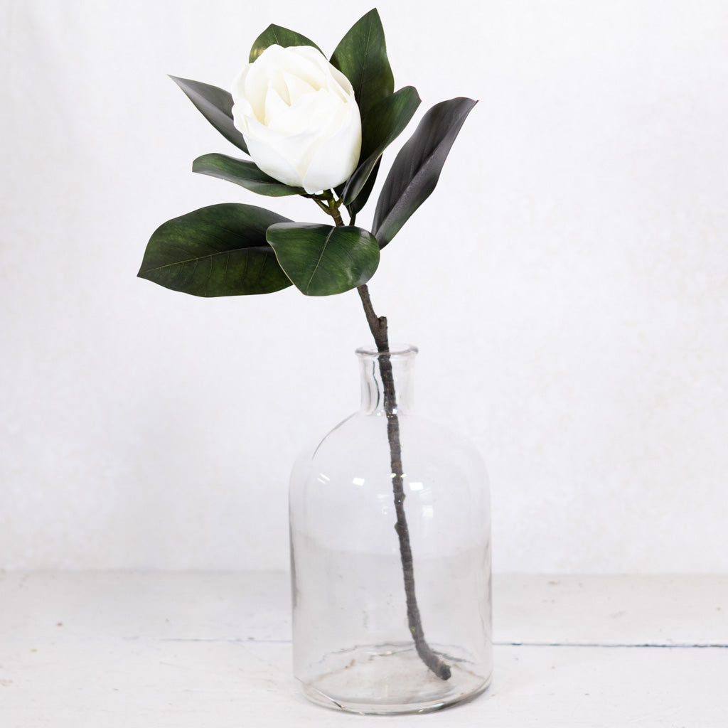 Magnolia Blossom and Foliage Spray