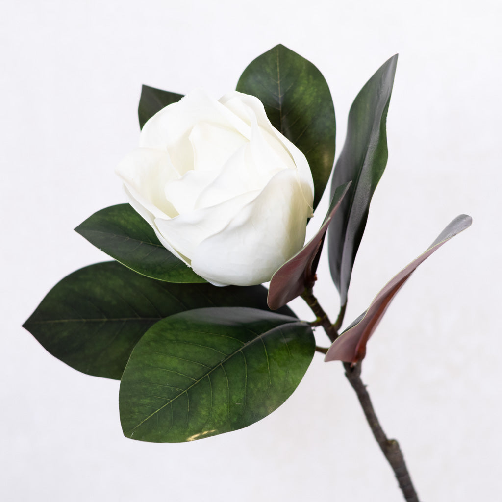 Magnolia Blossom and Foliage Spray