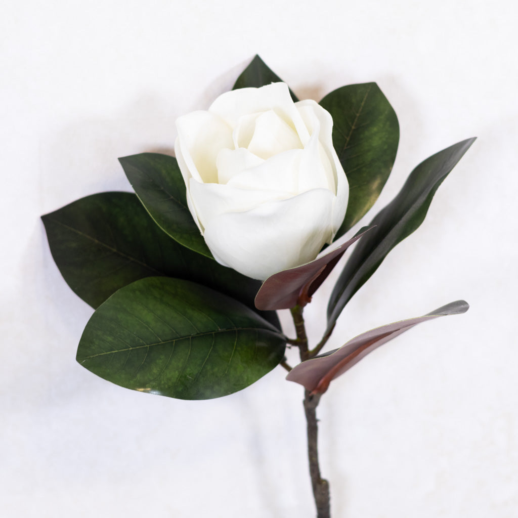 Magnolia Blossom and Foliage Spray