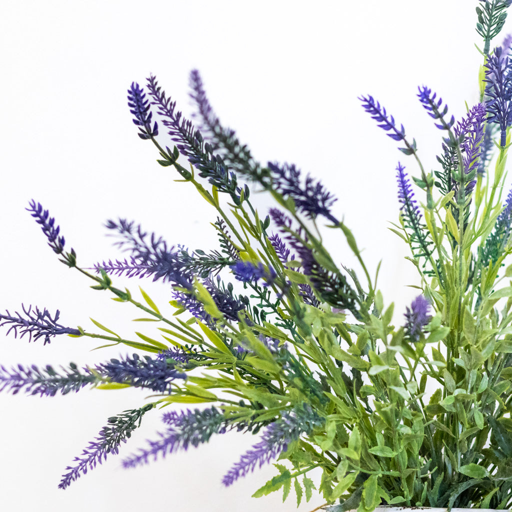 UV Lavender Plant Natural Touch