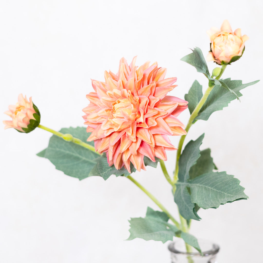 Peach Dahlia Spray Real Touch