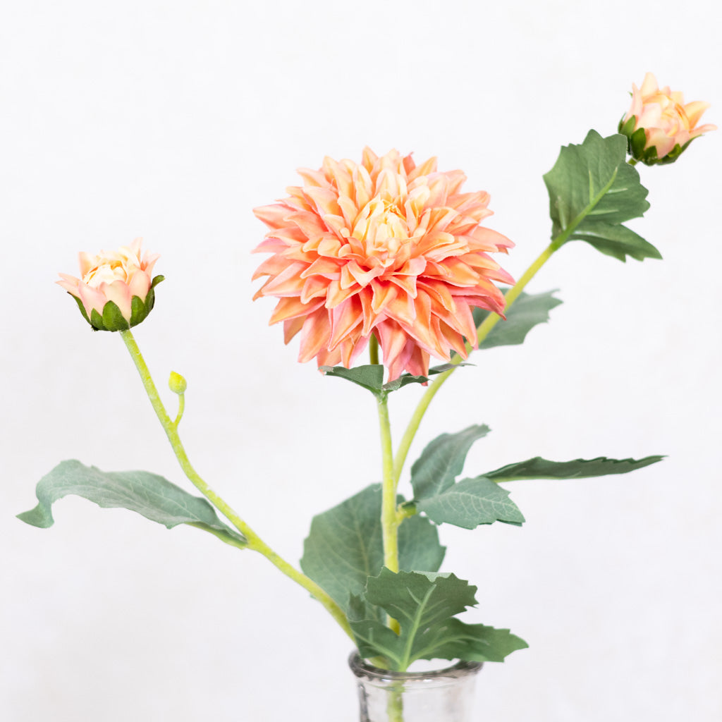 Peach Dahlia Spray Real Touch