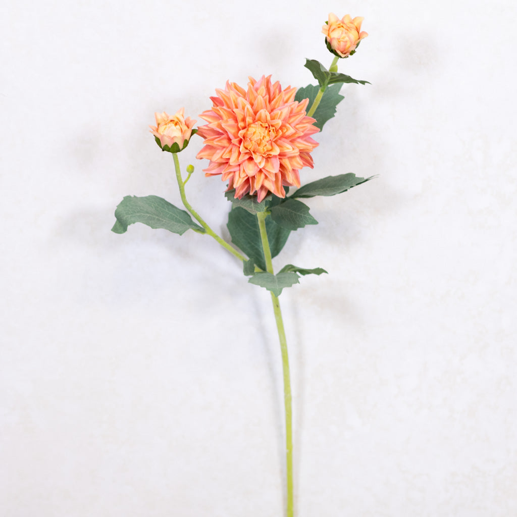 Peach Dahlia Spray Real Touch