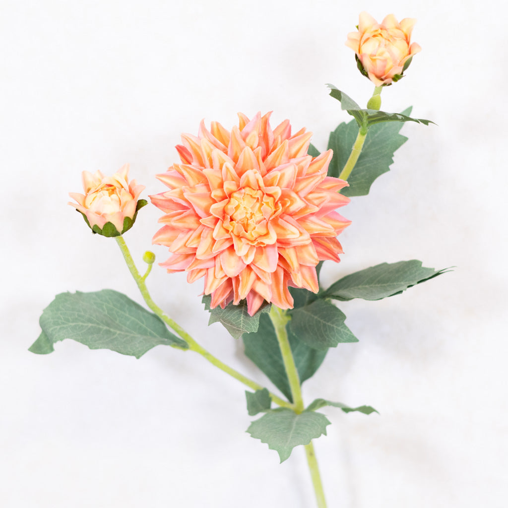 Peach Dahlia Spray Real Touch