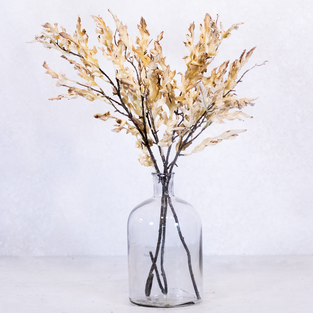 Dried Parchment Oak Leaf Spray