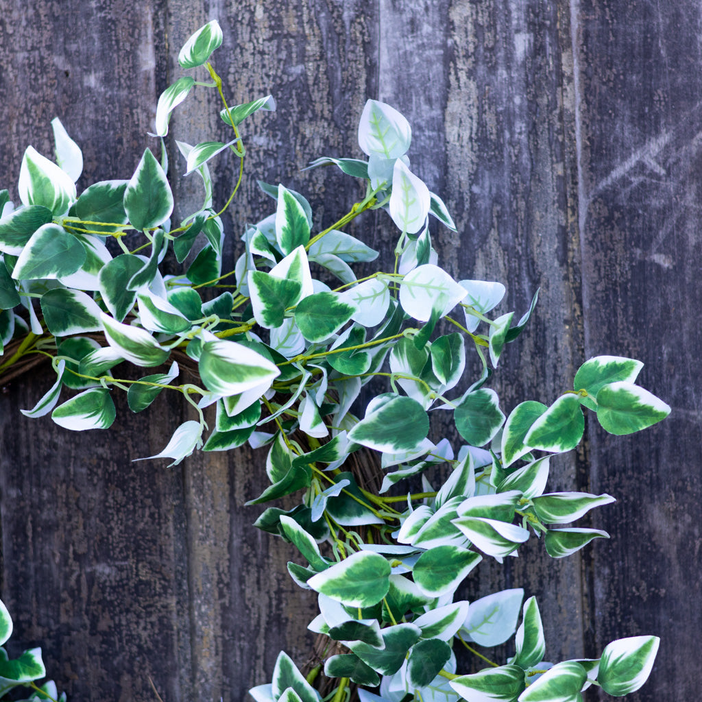 Ivy Green Cream Wreath