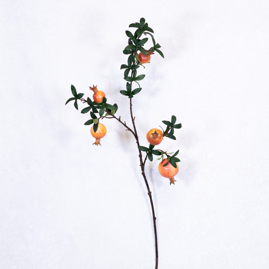 Pomegranate Branch Orange