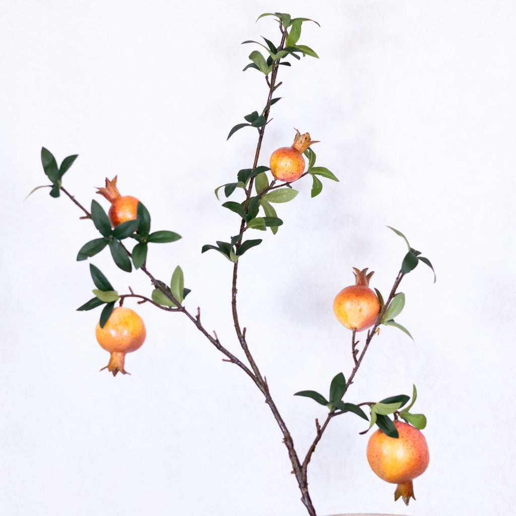 Pomegranate Branch Orange