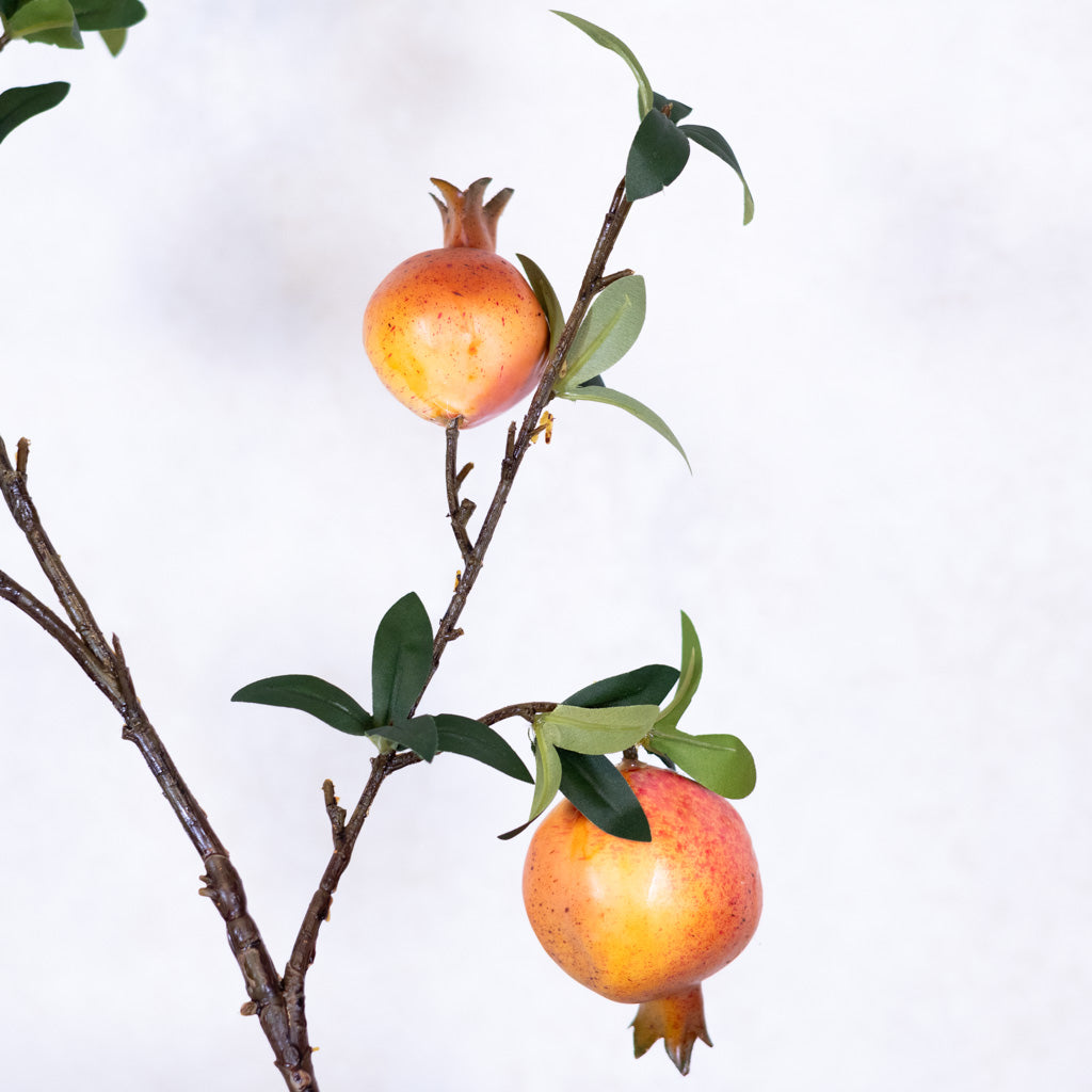 Pomegranate Branch Orange