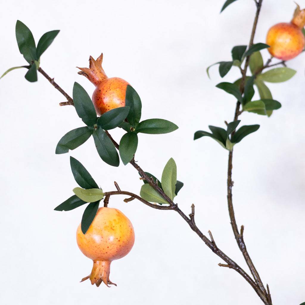Pomegranate Branch Orange