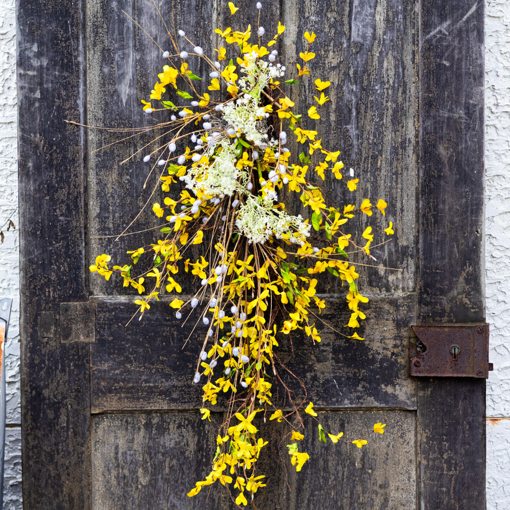 Forsythia Down Drop